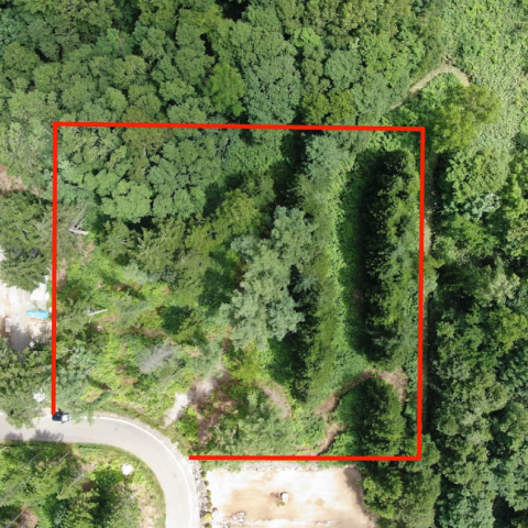 Screen Shot 2022-11-28 at 12.47.11 PM