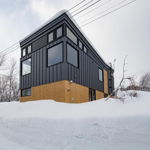 mountainbutterfly-2280px-4