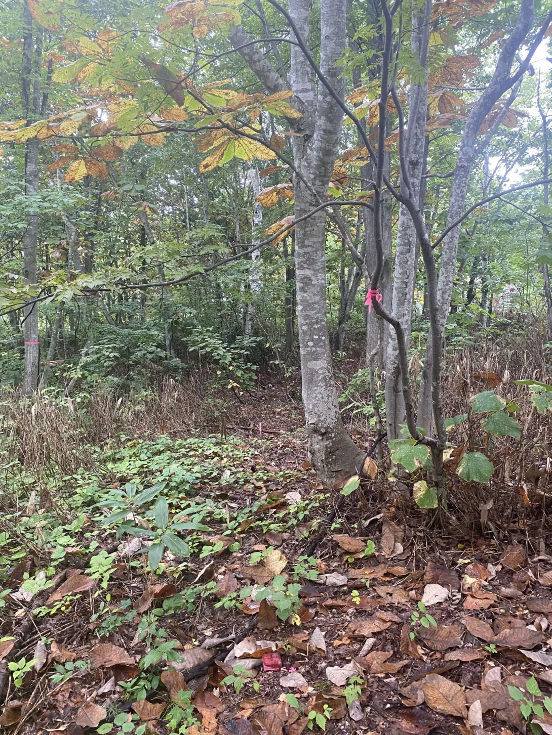 458562886_3967314526833937_7432402402354588466_n