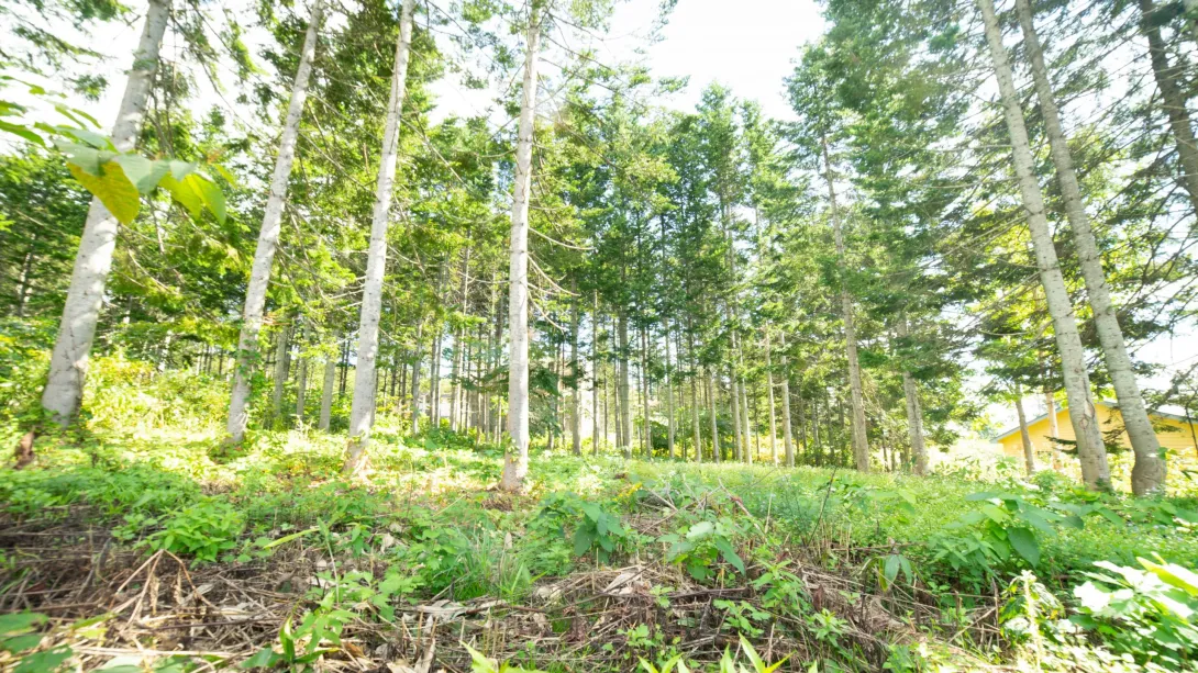 Annupuri Residences Lot #1 (2)